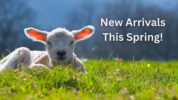New Arrivals This Spring! 🌸